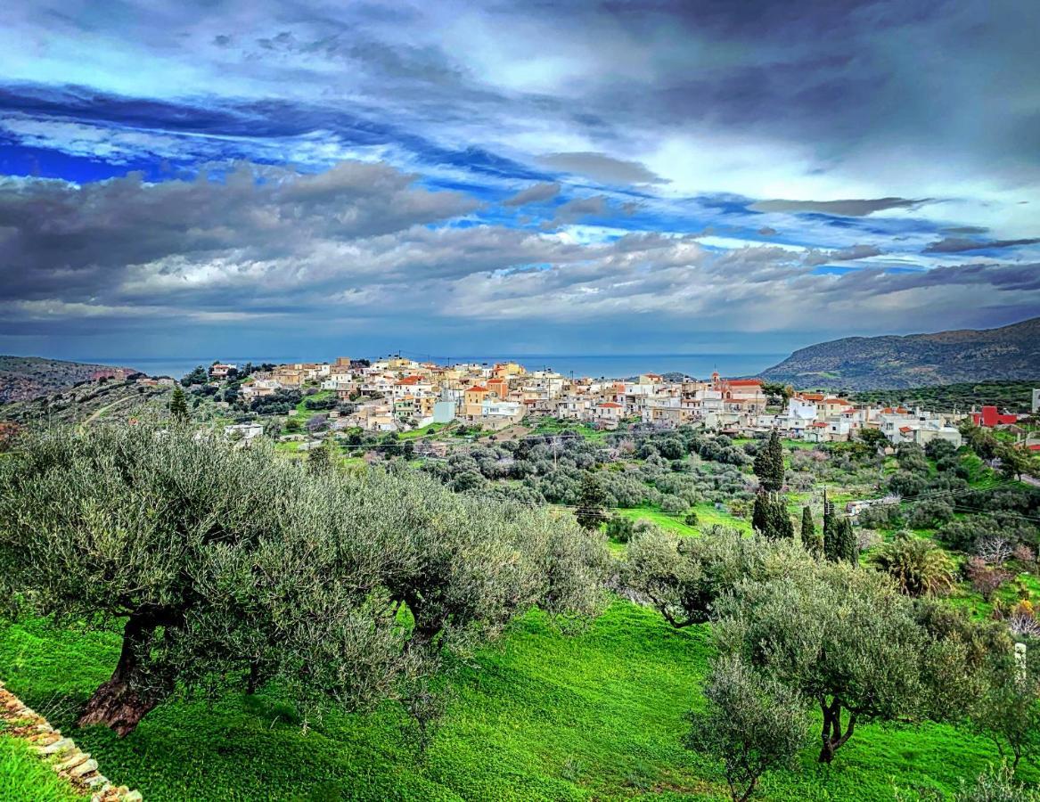 Kalo Chorio Villa *